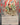 Big Score (JP Alternate Art) (Silver Scroll Foil)