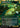 Glimpse of Nature
