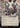 Requisition Raid (JP Alternate Art)