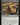 Decorum Dissertation