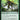 Wildgrowth Archaic