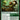 Vastlands Scavenger