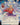 Expressive Iteration (JP Alternate Art)