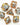 Foam Brain Inclusion Dice RPG Dice Set (7) 
