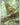 Chespin - 087/086