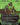 Doctor Doom (Borderless) (365)