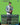 Bruce Banner (Borderless) (0359)