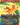 Human Torch, Johnny Storm (Borderless)