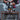 Thor, God of Thunder (Borderless) (0369)