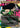 Madame Hydra (Borderless)