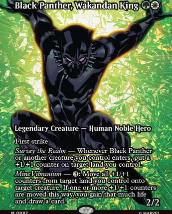 Black Panther, Wakandan King (Borderless)