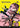 Fight to the Death (Borderless)
