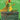 The Vision (Borderless)