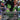 Jennifer Walters (Borderless) (0328)
