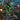 Epic Fight (Borderless)