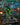 Epic Fight (Borderless)