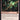 Loki's Scepter