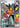 Tepig - 050