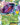 Genesect EX (Team Plasma)