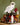 Lego: Harry Potter - Sorcerer's Stone – Collectors' Edition 