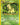 Bayleef (28)