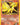 Blaine's Ninetales