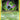 Dark Golbat (24)