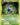 Dark Golbat (24)