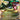 Rayquaza EX