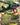 Rayquaza EX