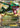 Rayquaza EX