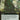 Turntimber Symbiosis (Extended Art) (Back)