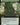 Turntimber Symbiosis (Extended Art) (Back)