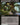 Blex, Vexing Pest (Extended Art) (Back)