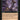 Entomb
