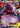 Gengar EX