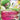 Gardevoir EX