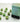 Chessex Dice: Special 12mm D6 (36) - Marble: Green/Dark Green 