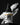 Pro Acryl: Matt Cexwish Series - Heavy Titanium White (22ml) 
