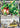 Rayquaza EX (75)