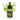 The INKS Lime Green 