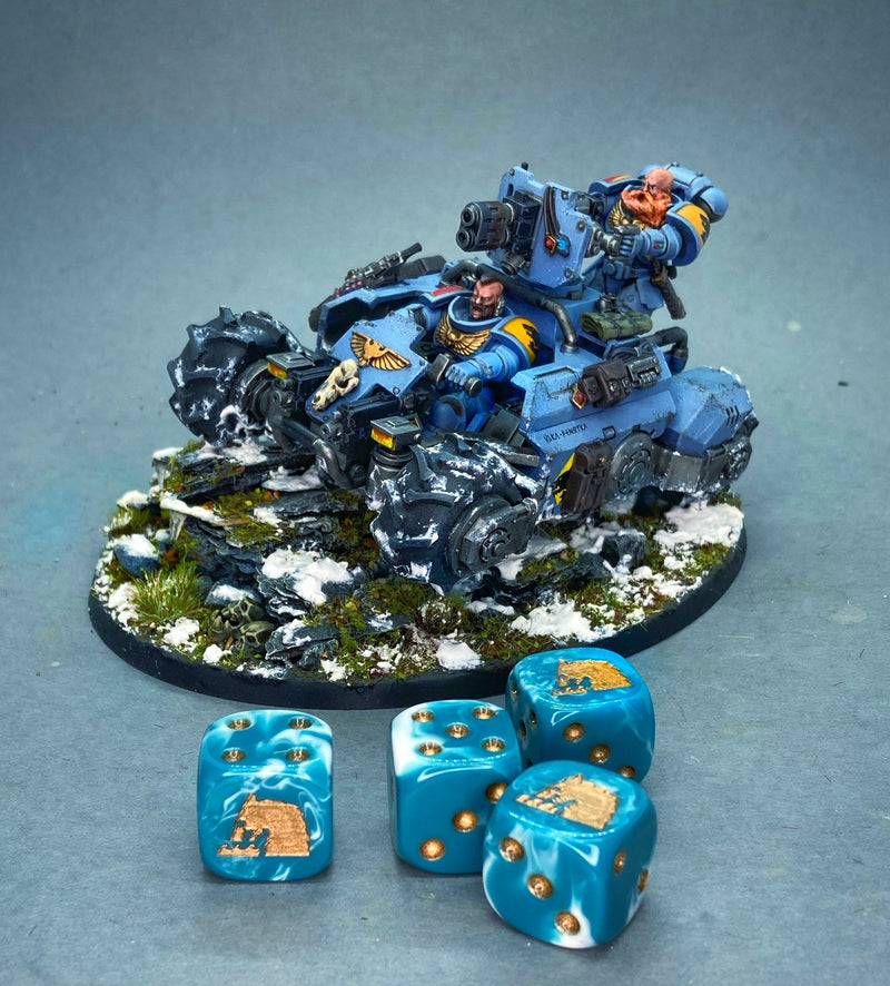 Load image into Gallery viewer, Sea Wolves 16mm Dice
