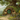 Hobbit hole with flowers and a bench in a fantasy landscape