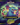 Lorcana Attack of the Vine Set Championship 