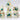 Foam Brain Inclusion Dice RPG Dice Set (7) 