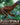 Dinosaur Series: #11 Therizinosaurus (Snap) 