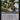 Blex, Vexing Pest (Back)