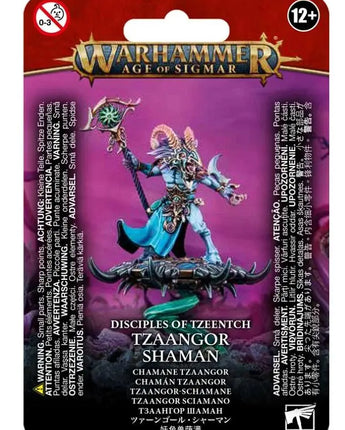 Disciples of Tzeentch Tzaangor Shaman 