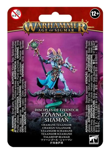 Disciples of Tzeentch Tzaangor Shaman 