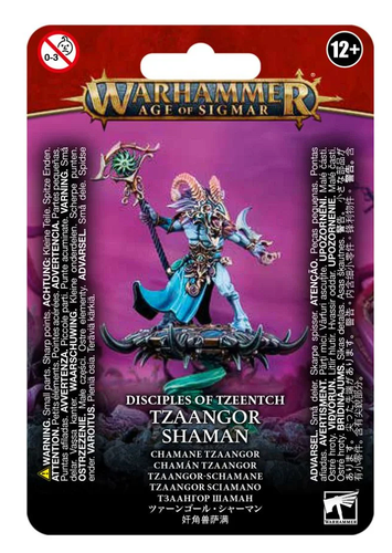 Disciples of Tzeentch Tzaangor Shaman